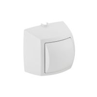 Geberit HyTouch Toilet hand press-activator alpine-white single flush for public buildings 240570111