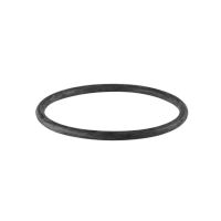 Geberit Rubber Seal for plug  Coupling DN100  367789001