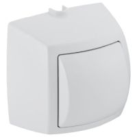 Geberit HyTouch Toilet hand press-activator high-gloss single flush for public buildings 240570KA1