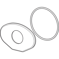 Hansa  Rosette 1 