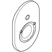 Hansgrohe Rosette Wanne Unterputz chrom 95011000