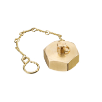 Oventrop Cap for DN32 (1 1/2  IG) with washer and chain 1066910