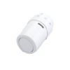 Danfoss Design Fuehlerelement RAX eingebauter Fuehler RAL 9016 013G6070