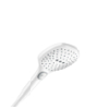 Hansgrohe Handbrause Raindance Select E 120 mattweiss 26520700