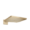 Hansgrohe Kopfbrause Raindance E 300 1jet m.Brausearm 390mm BBR 26238140