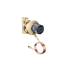 Oventrop Differential Pressure controller Hycocon DTZ DN40 1 1/2 female thread PN16 50-300mbar Ms 1062012