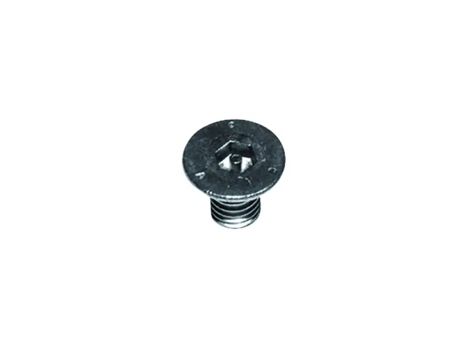 Dallmer Sicherheitsschrauben M 6 x 10 590220
