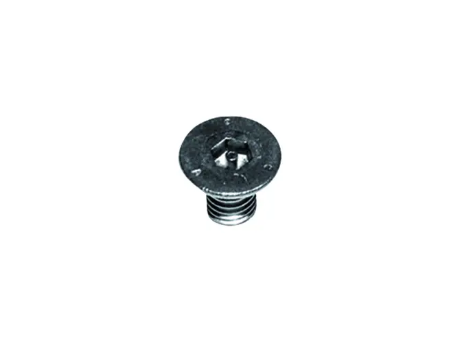 Dallmer Sicherheitsschrauben M 6 x 14 590237
