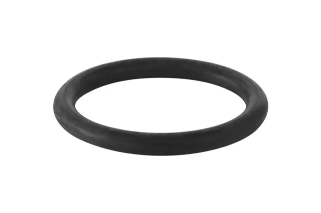 Geberit O-Ring zu Ablaufstutzen ab Modell 77  892975001