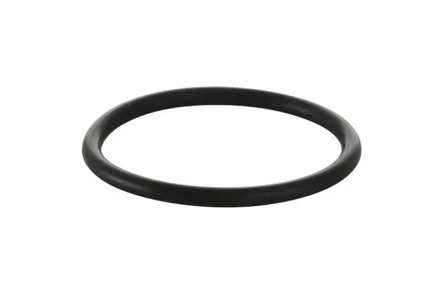 Geberit O-Ring zu Ventilkegel zu Wannengarnitur d 90 241400001