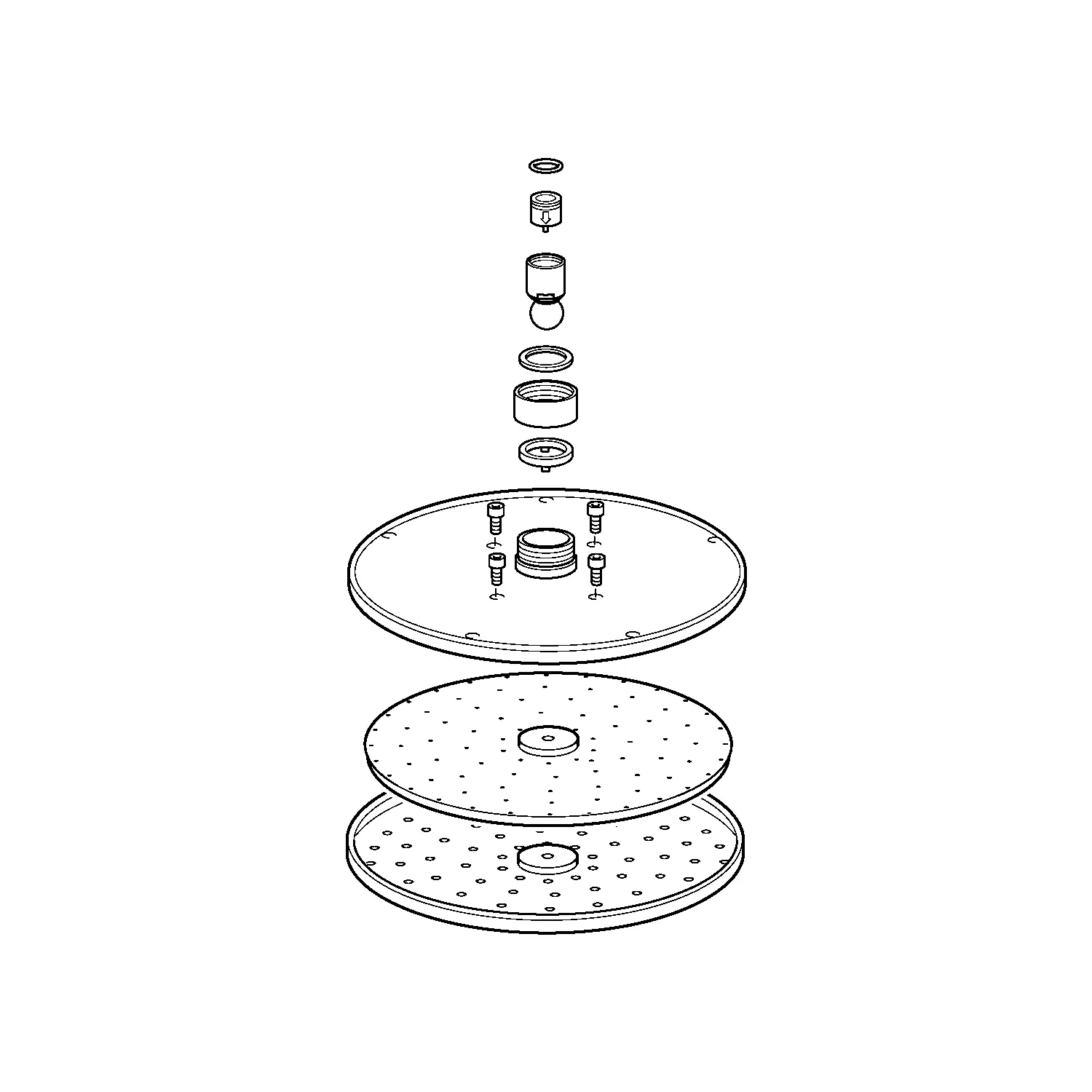 Hansa Brausekopf Viva d:200 mm komplett 59913747