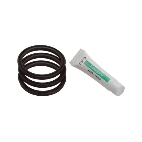 Hansgrohe Dichtungsset fuer Allegra Kuechen- mischer 96529000