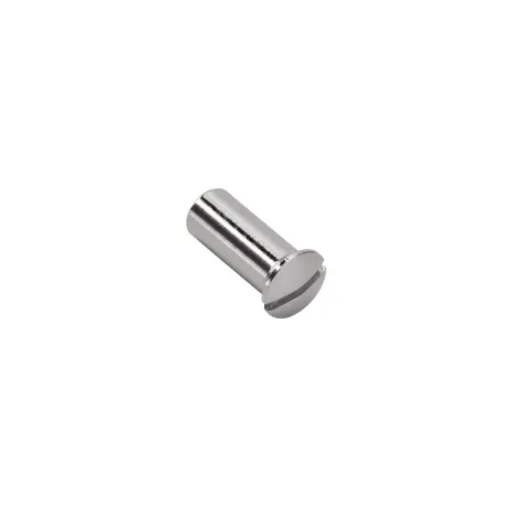Hansgrohe Hollow screw M5 chrome 96065000