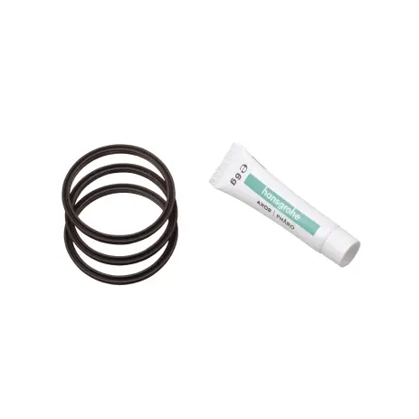 Hansgrohe Dichtungsset Spueltischmischer 98702000