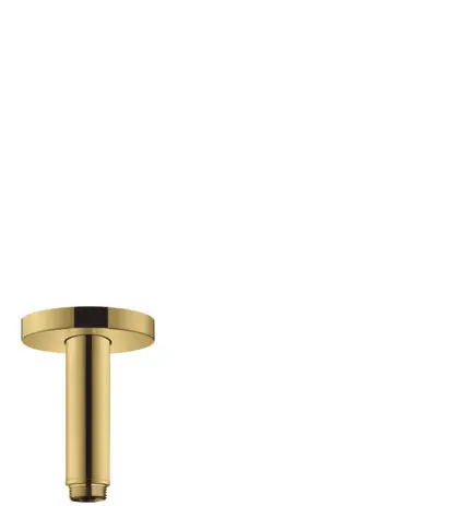 Hansgrohe Decken-Anschlussstück S DN15 100mm PGO 27393990
