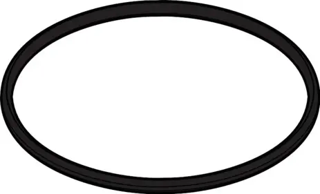 Hansgrohe O-Ring 58 x 3 98202000