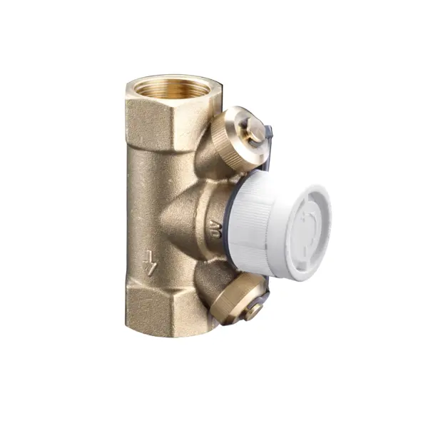 Oventrop Two-way valve Hycocon ETZ DN25 1 internal thread with measuring and drain valves, brass 1068368