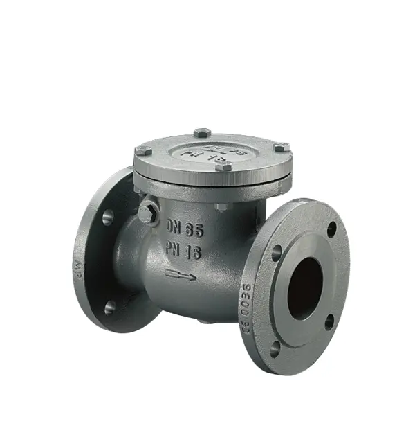 Oventrop Swing check valve PN16 cast iron DN65 flanges DIN 2501 1073051