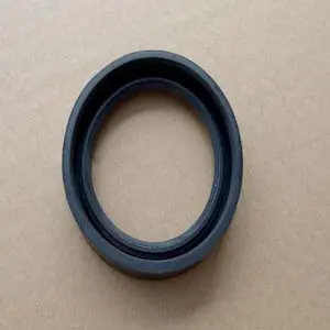 Remeha Abdichtring Sifon Calenta S100906