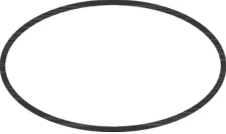 Hansgrohe O-Ring 44x2,5mm 98162000