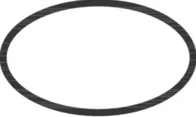 Hansgrohe O-Ring 98164000
