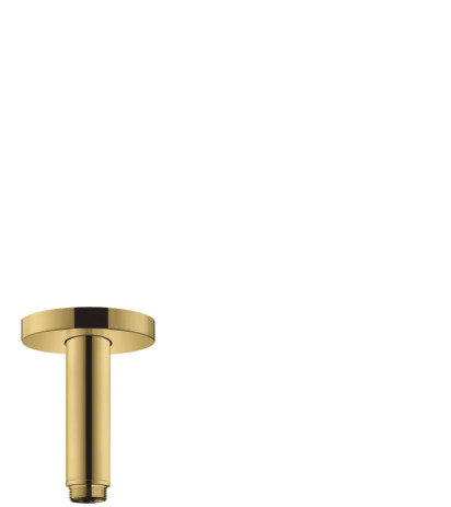 Hansgrohe Decken-Anschlussstück S DN15 100mm PGO 27393990