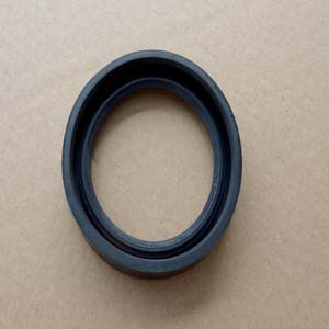 Remeha Abdichtring Sifon Calenta S100906