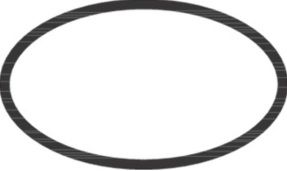 Hansgrohe O-Ring 98164000
