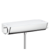 Hansgrohe Thermostat Ecostat Select 13161400